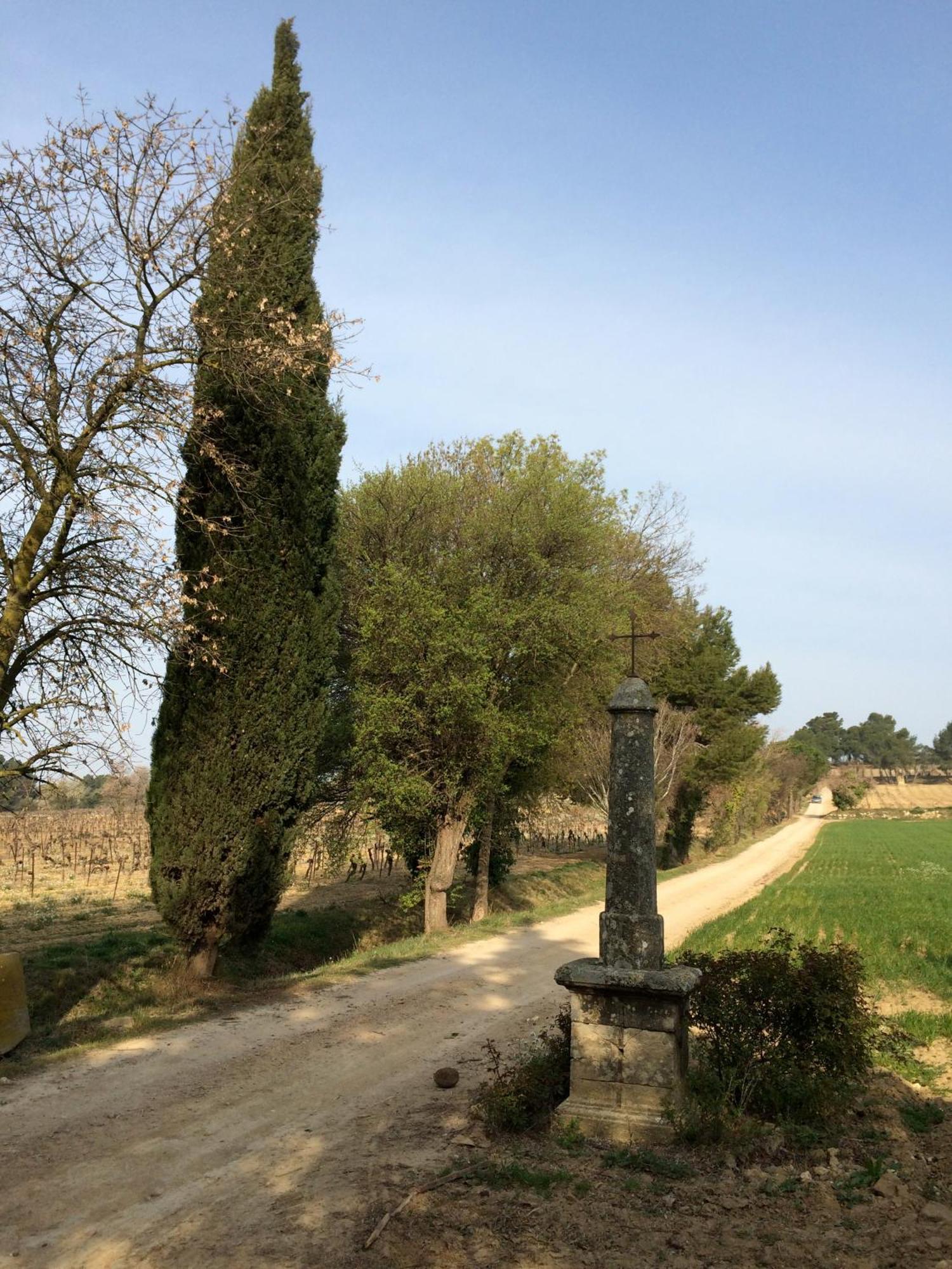 Vila Chateau Pech-Celeyran Salles-dʼAude Exteriér fotografie