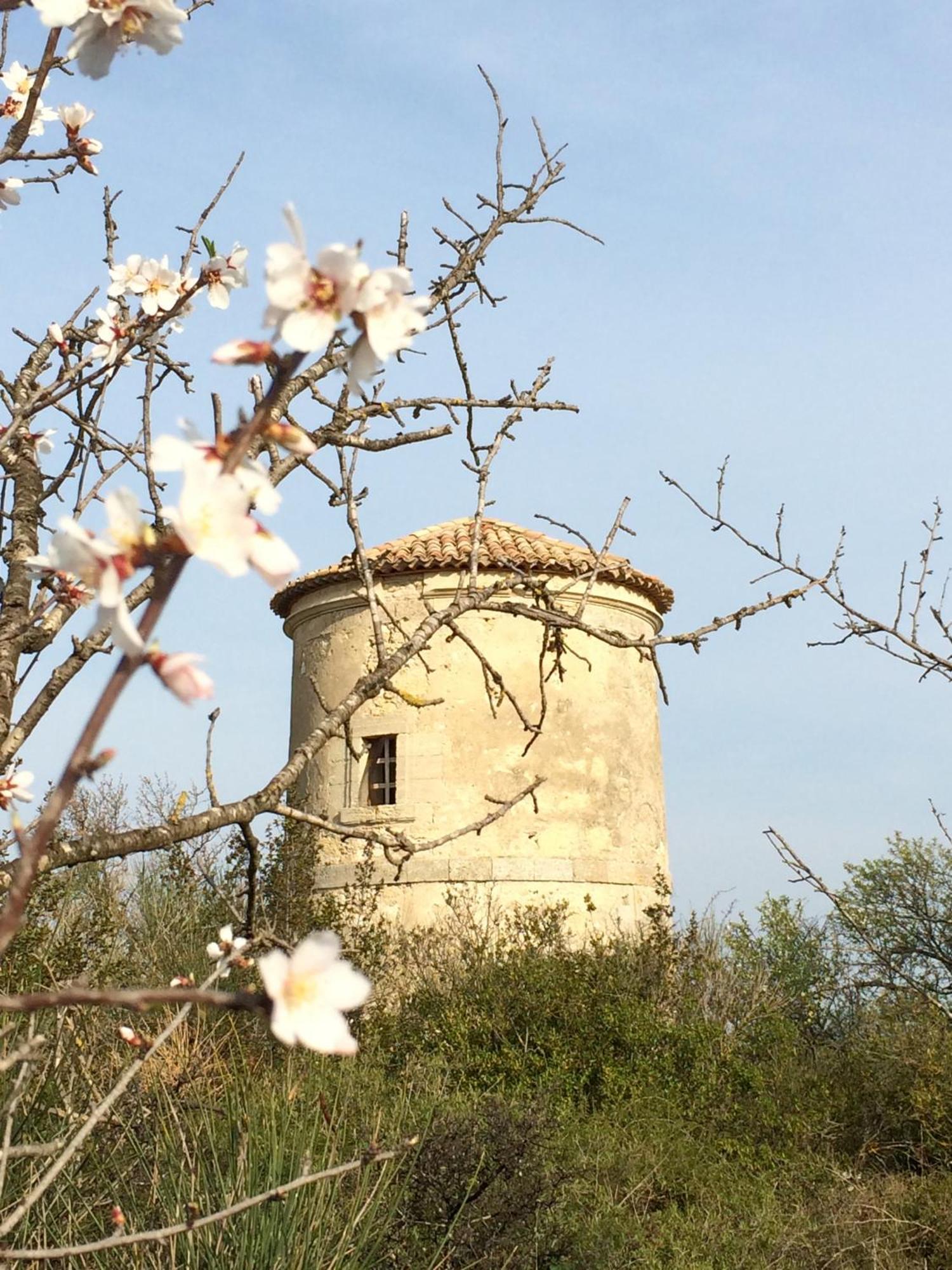 Vila Chateau Pech-Celeyran Salles-dʼAude Exteriér fotografie