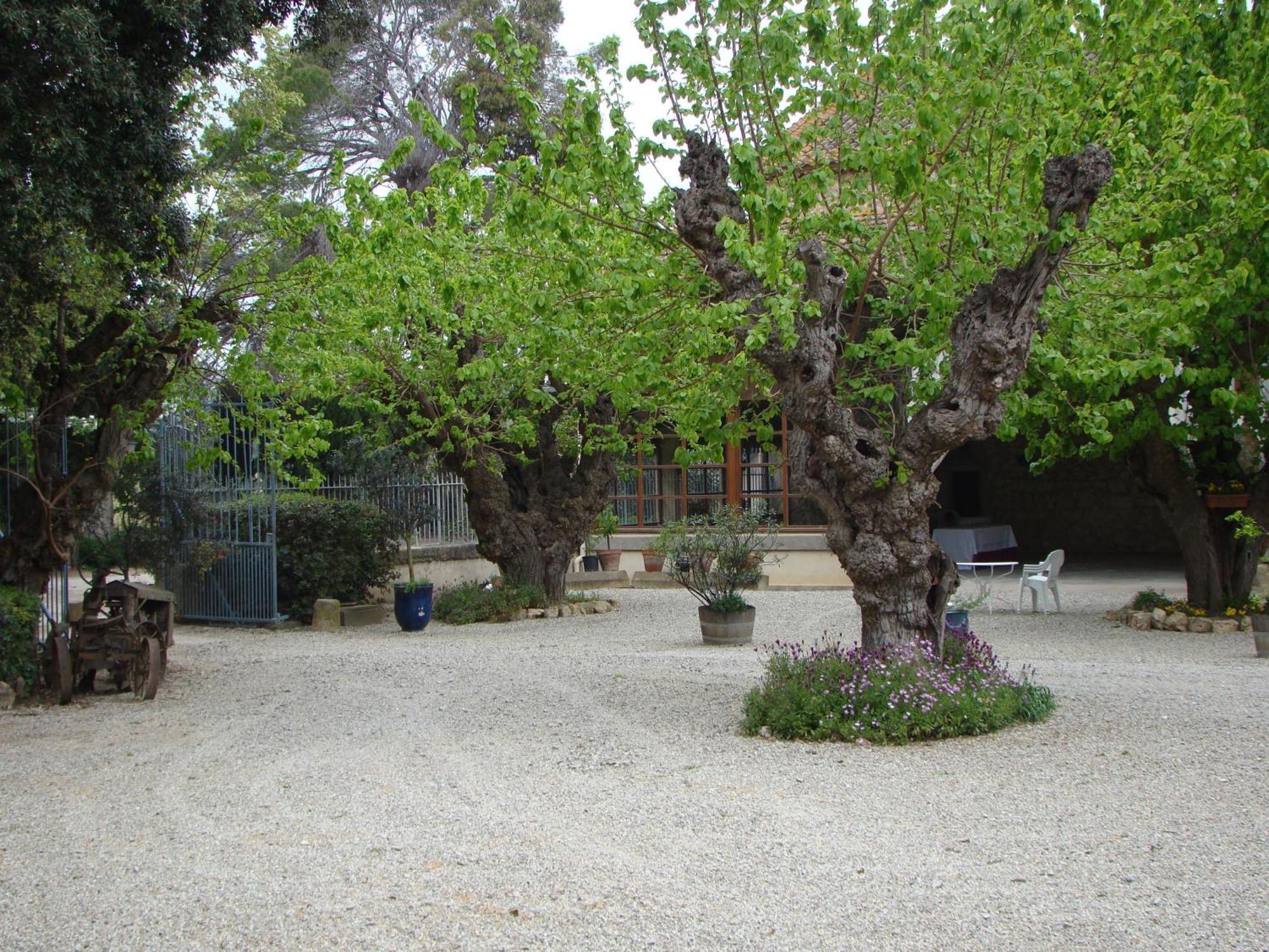 Vila Chateau Pech-Celeyran Salles-dʼAude Exteriér fotografie