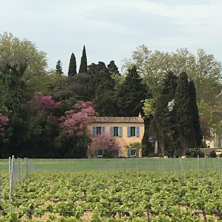 Vila Chateau Pech-Celeyran Salles-dʼAude Exteriér fotografie